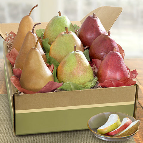 Artificial Bartlett Pear, Box of 12 Fake Pears 5 Color Choices Life-sized  Pears